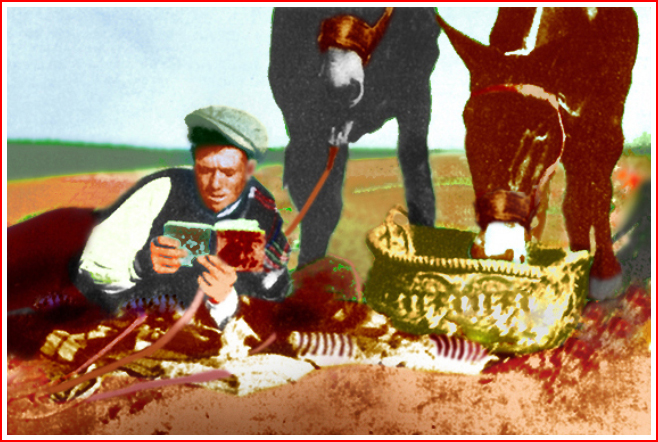 campesino leyendo