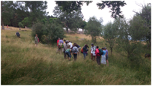 Grupo de compañeros en Hontanares