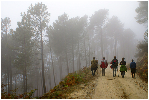 Compañeros practicando senderismo