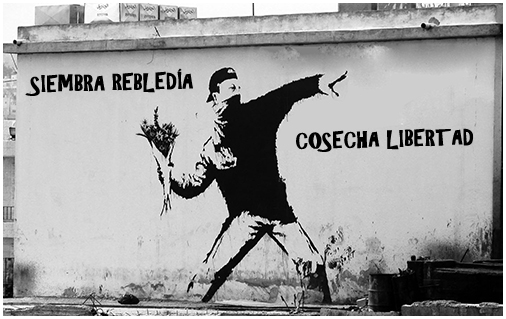 Siembra rebeldia