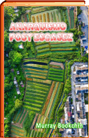 Anarquismo post-escasez